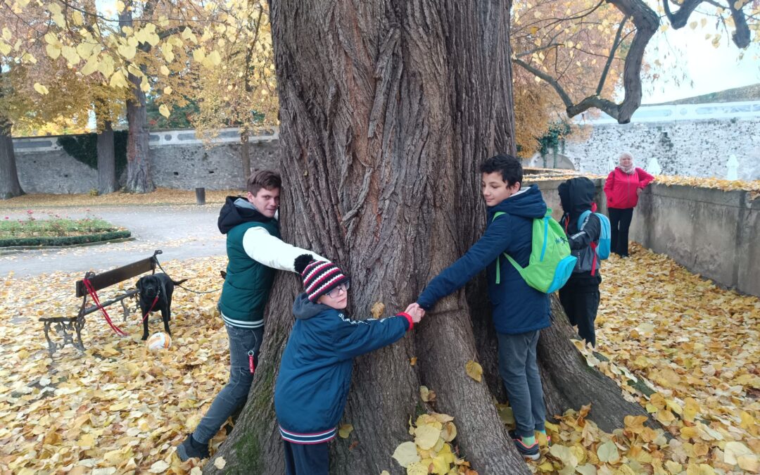 Když práce voní listím: výprava do zahradnictví pana Slováka