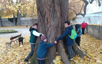 Když práce voní listím: výprava do zahradnictví pana Slováka